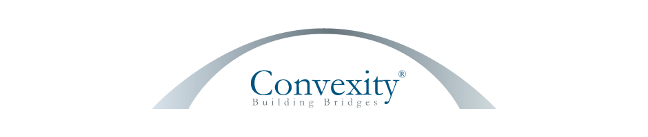Convexity - Building Bridges